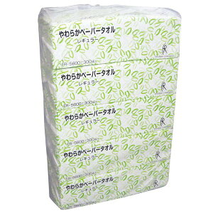 iP[X̔j炩y[p[^I M[ 300×60pbN^VOit@[XgCgjFR-5600