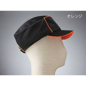 A{lbg{JARI LbvbViیXjO[iߗj2087