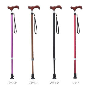 愛杖Eシリーズ 折りたたみタイプ/ブラック(ケイ・ホスピア)E-201B