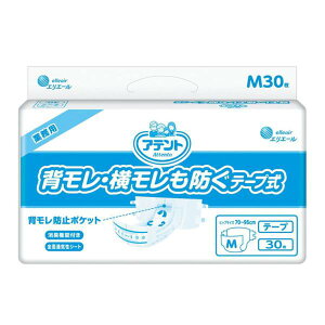 iP[X̔jAeg e[v wEh^MTCY 30×2܁i剤j5񕪋z 20763658