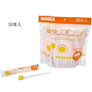 iP[X̔juX|W vX`bN^50{×36܁inN]EfBJj1240976