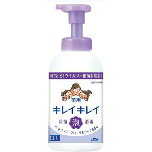 iP[X̔jLCLCpAnh\[v t[\[v̍^550mL×12{iCInCW[j