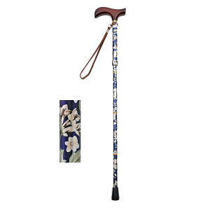 Ct ܂肽ݐLkXebLiԕj^ԃlCr[iEFt@j009715