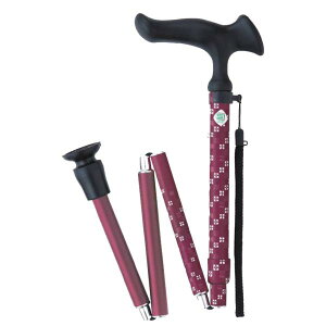 XebL 邪Ei܏Sj^sitWz[jWB3794