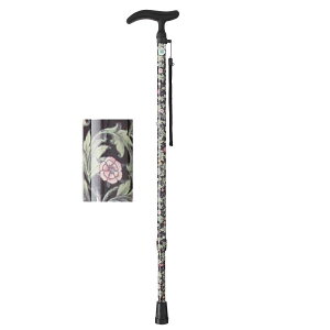 ANeBuEO[X LkS^ubNitWz[jWB3757