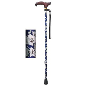 XebL x[VbN iLkSj^ԕitWz[jWB3718