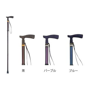 ߎ܂肽T h܂ׂhiTCYj^p[viiÊjTY126