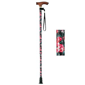 X}CXebLiLkXebLEאgj^ԕi}LebNjAS-20KF