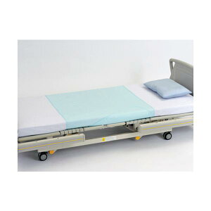 i2Zbgjnri[X ϔMhV[c^nO[isWj1017230 hV[c^Cv