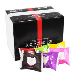 HIROTAのシューアイスギフト 18個入 詰合せ*