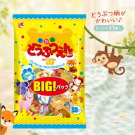 かわいいどうぶつえんゼリー 53個入 フルーツゼリー 15g 個包装 5種の味 大容量 お菓子 子供会 イベント …