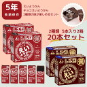 最安値挑戦 えいようかん チョコえいようかん 井村屋 非常食 防災準備 防災セット 長期保存 保存食 2種類 20本セット 送料無料 備蓄食 5年保存 栄養かん 和菓子 お菓子 羊羹 食品 防災袋 アウトドア 持ち運び 登山 個包装