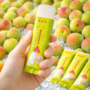 �䑺�� �����v�b�V���[���[ ���Ղ�E�� 15g×24�{ 360g � �X�e�B�b�N�[���[ �M���Ǒ΍� �����⋋ �N�G���_ �ʂ��܁[�� �g�p �~�� ��e�� �Ɩ��p