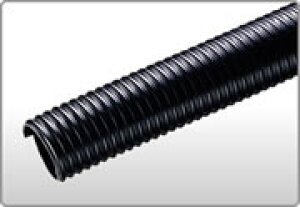 HƁ@TAC w VϔM@ڕi@100×50m