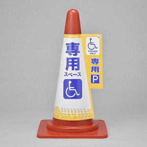 R[WJo[ R[Jo[6 Ԉ֎qp 367006