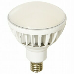 �����H�Ɓ@LED�������@L50V2-J110W-50K