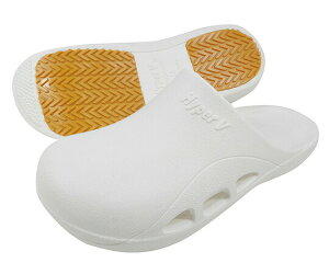 pT_ s^bgIII 22.5`24.0cm S