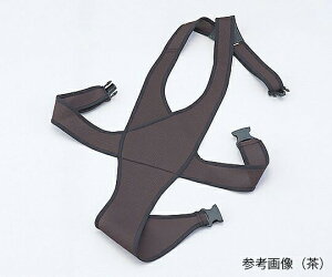 ԃCXxg() LTCY No.4010