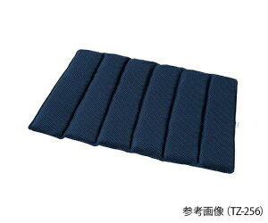 �̈ʌŒ�N�b�V���� ��570(480)×300×45mm TZ-456