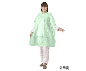 PEHpGv(^CI^Cv) O[ FR-839