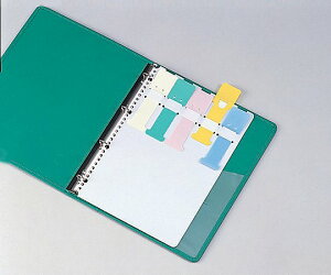 J[VOi A4A2E4E30 10 SK-455