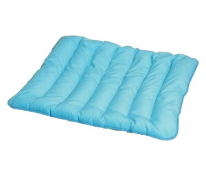 �f���b�N�X�r�[�Y�}�b�g 1020