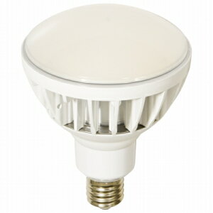 �����H�Ɓ@LED�������@L50V2-J110W-50K