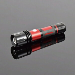 【10/25限定!要エントリー!抽選で最大100%Pバック!】日動工業 LED懐中電灯 SL-6F-CH