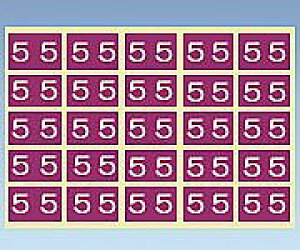 �J���[�i���o�[���x�� 15×30mm(5) CNL-L