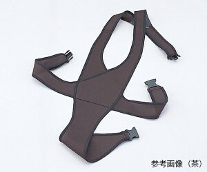 ԃCXxg() LTCY No.4010