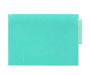 �J���[�J���e�t�H���_�[(�V���O��) �N���X�^���O���[�� HK708-19