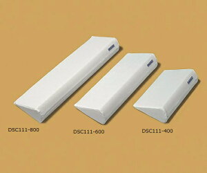 ̈ʌŒ⏕NbV(T[eBpbh/800×240×120mm) DSC111-800