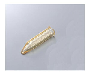 yvGg[IIōő100PobNIzƖJz^ {