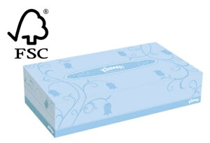 �N���V�A �N���l�b�N�X �e�B�b�V���[ ���M�����[100W(100�gx60BOX) 43101