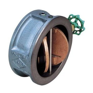 ���m�o���� 10FNW FC�E�C���O�`�F�b�L��(�v��CAC) 250A