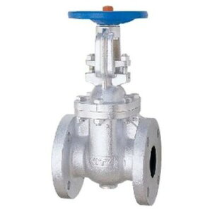 �L�b�c 10FCL FC�v��CAC�Q�[�g��(JIS) 40A