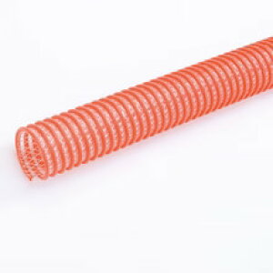 �J�N�C�`�@�T�N�V�����z�[�X�@�C���_�XCX�@�J�b�g�i�@150��