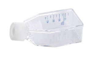 gD|{tXR HydroCell T25 12