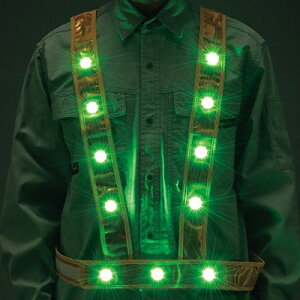 yvGg[IIōő100PobNIz^XL^LED˃xXg LED^XL^xXg-GM 238026