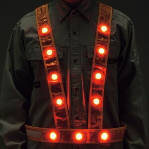 yvGg[IIōő100PobNIz^XL^LED˃xXg LED^XL^xXg-GR 238027