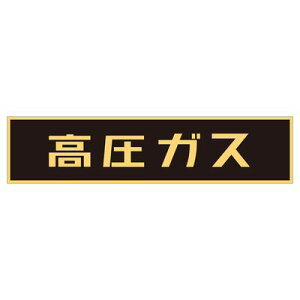 ԗxW(}Olbg^Cv) P-2M 043004