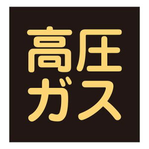 ԗxW(}Olbg^Cv) P-8M 043017