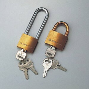 L[bN(싞) L[bN-A 195061