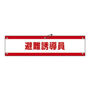 yvGg[IIōő100PobNIzr r-47A 139147