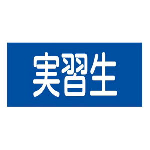 yvGg[IIōő100PobNIzSr GW-12L 139612