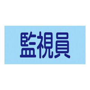 Sr GW-8M 139708