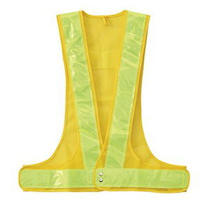 LOTCYSxXg LOxXg(/) 238019