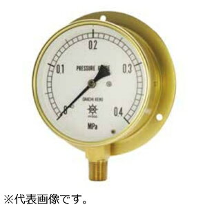 v HNTėp^v(CpEM BMT3/8-100X-0.1MPA 1