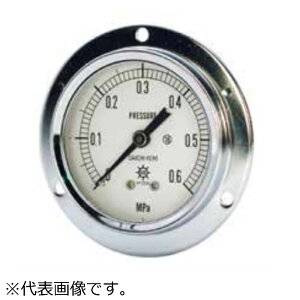 ���v�� HNT�ėp���͌v(�ϐU�p FDVU1/4-60X1.6MPA 1��