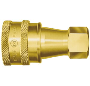 �����H�� SP-A�J�v�� 6S-A NBR BRASS